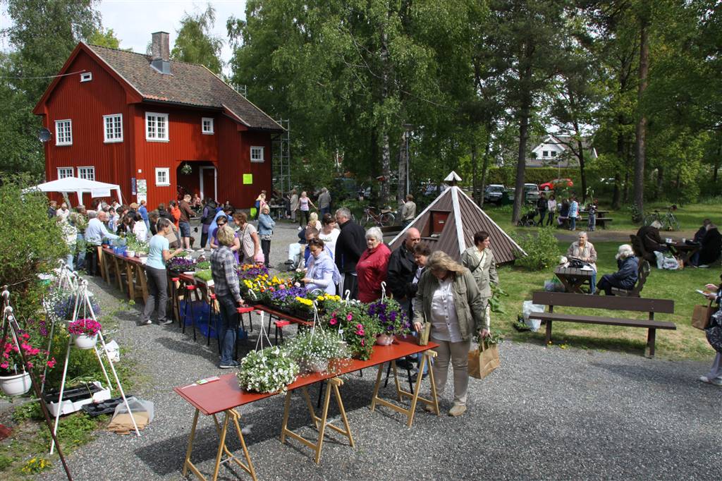 Planteloppemarked på Hadeland